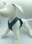 Preview: Geschirr, 4cm breit